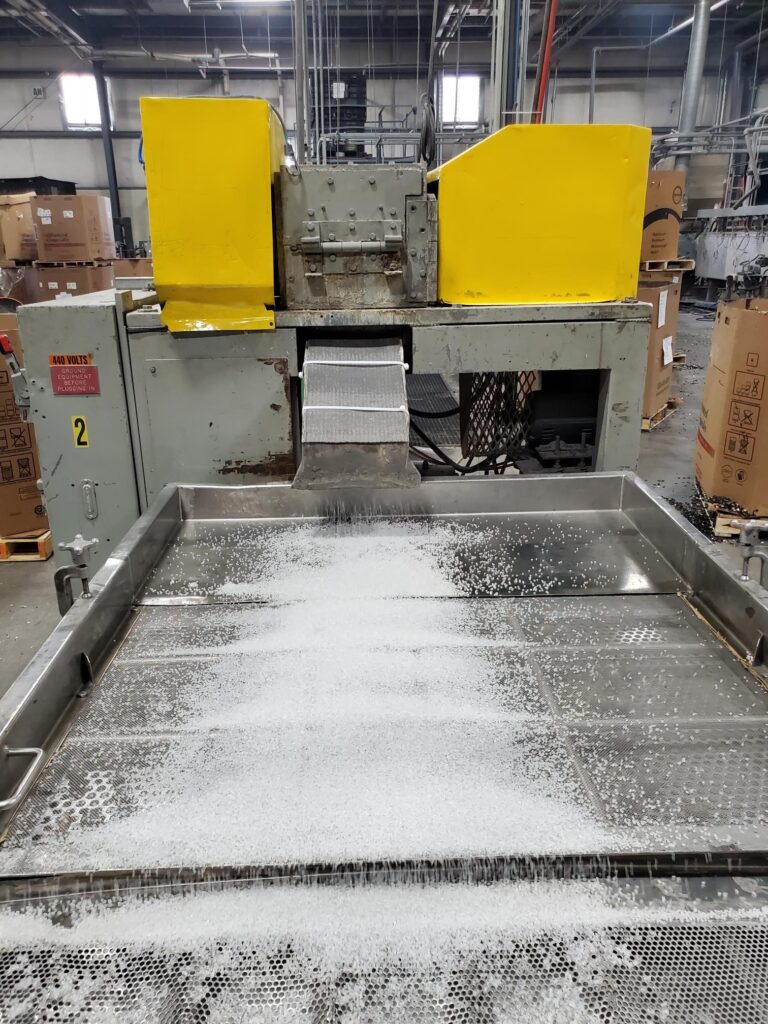 plant 1